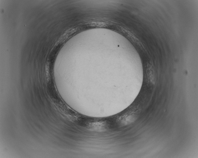 X0000083620312200703051616