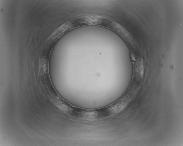 X0000083620313200703051616