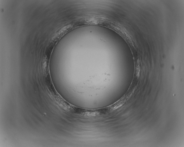 X0000083620314200703051616