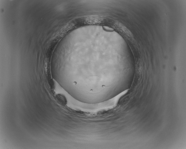 X0000083620315200703051616