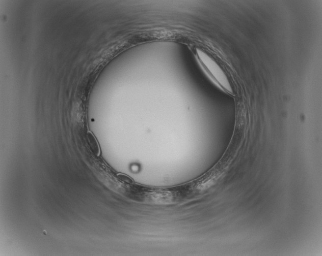 X0000083620317200703051616