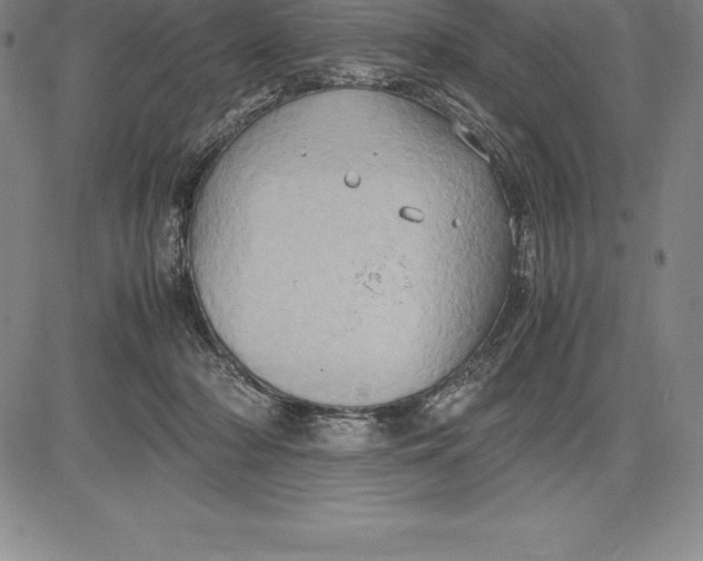 X0000083620318200703051616