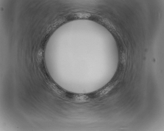 X0000083620321200703051616