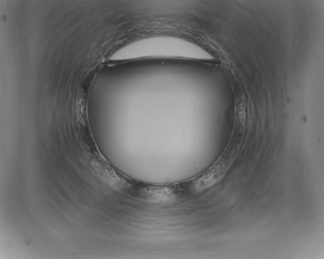 X0000083620322200703051616