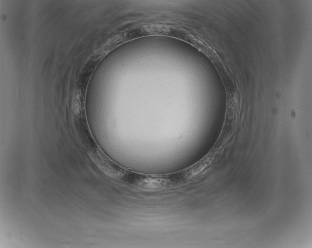 X0000083620323200703051616