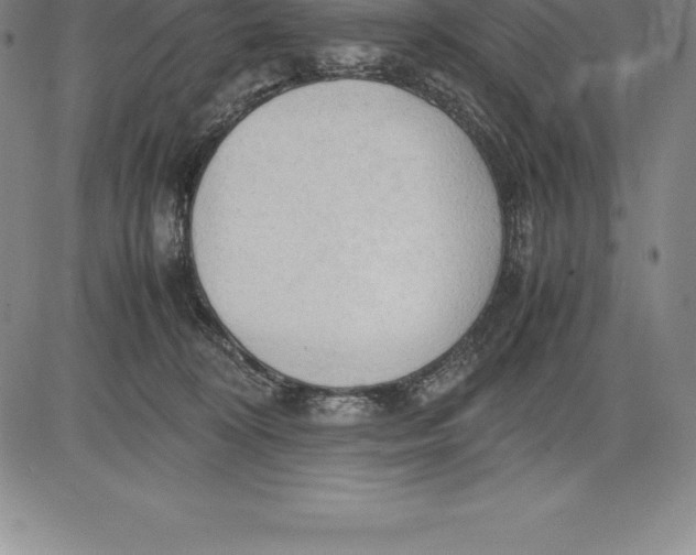 X0000083620324200703051616