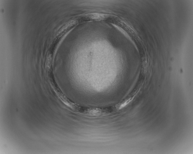 X0000083620325200703051616