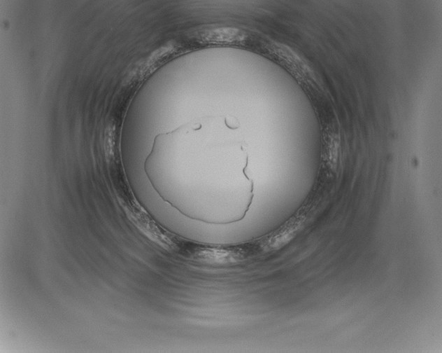 X0000083620326200703051616