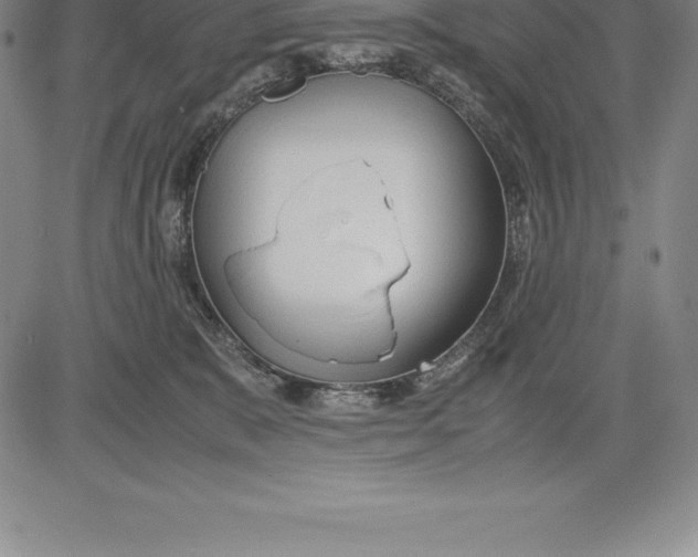 X0000083620327200703051616