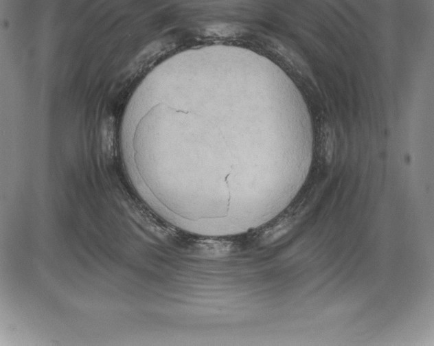 X0000083620328200703051616