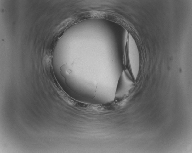 X0000083620329200703051616