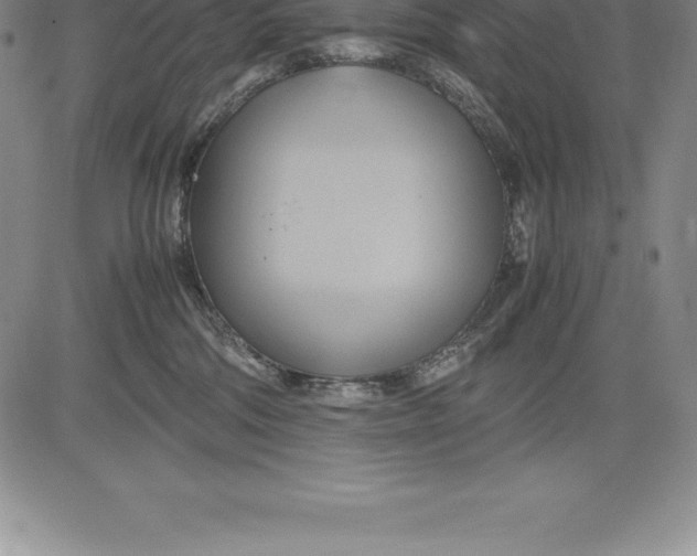 X0000083620330200703051616