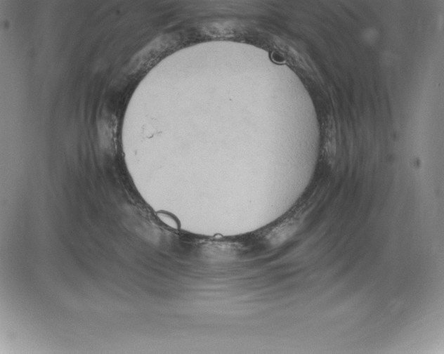 X0000083620332200703051616