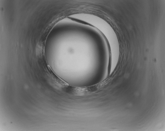 X0000083620333200703051616