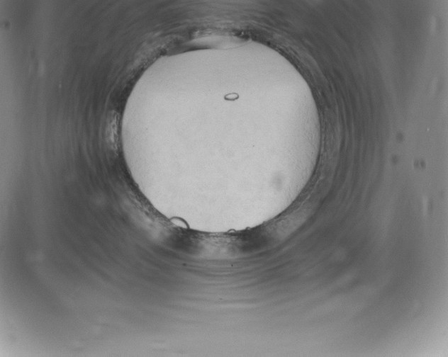 X0000083620336200703051615