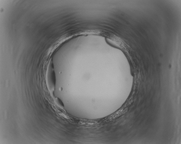 X0000083620337200703051615