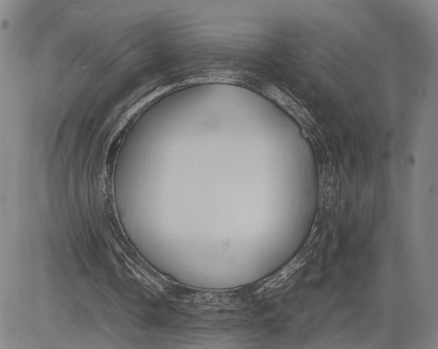 X0000083620338200703051615