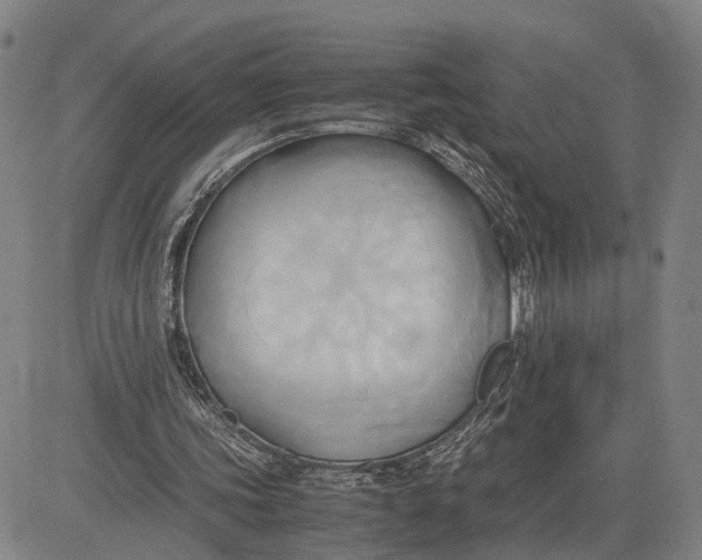 X0000083620339200703051615