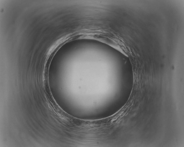 X0000083620340200703051615