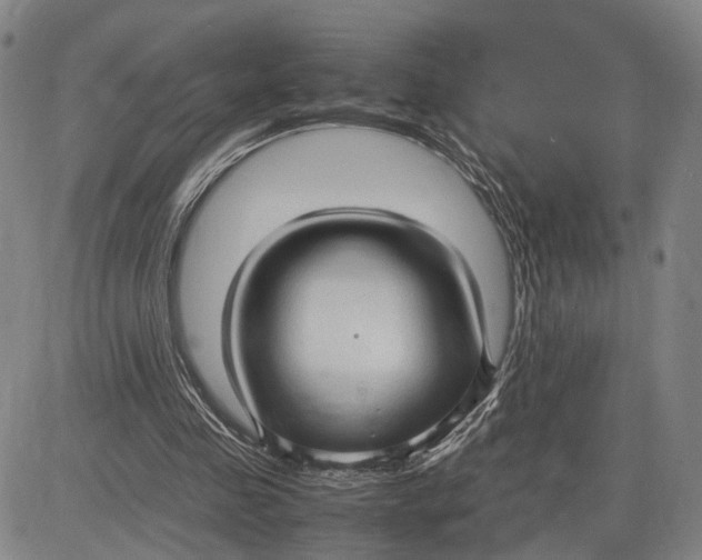 X0000083620341200703051615