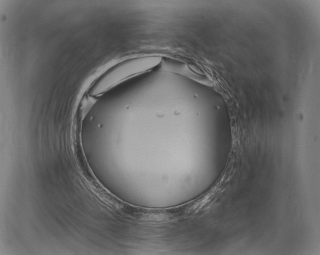 X0000083620342200703051615