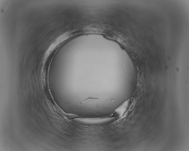 X0000083620343200703051615