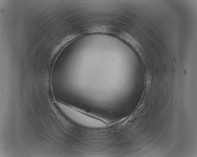 X0000083620345200703051615