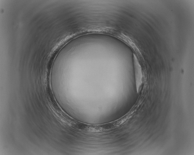 X0000083620346200703051615