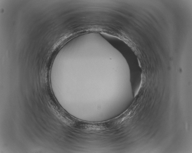 X0000083620347200703051615