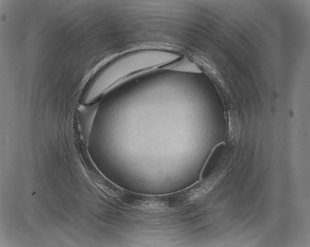 X0000083620348200703051615