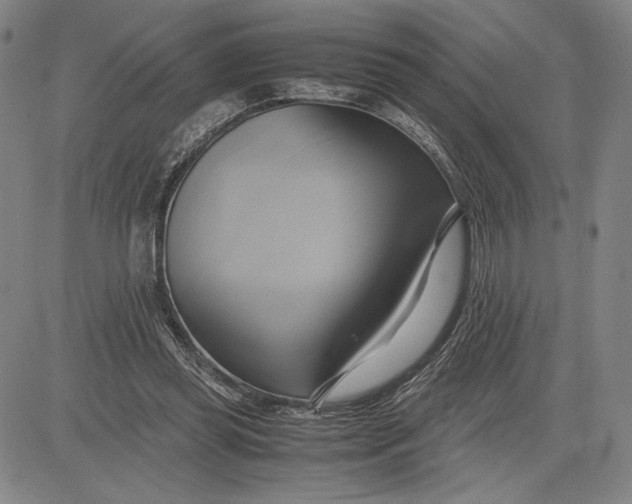 X0000083620349200703051615