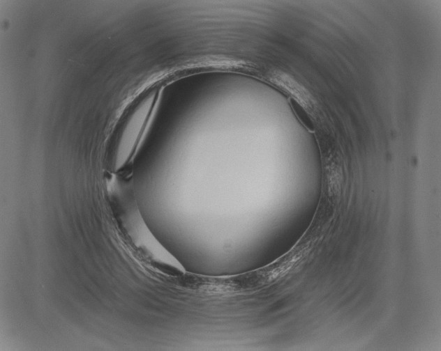 X0000083620350200703051615