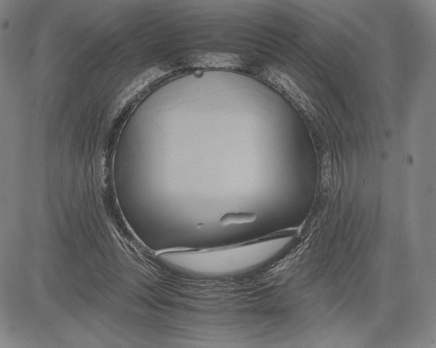 X0000083620351200703051615