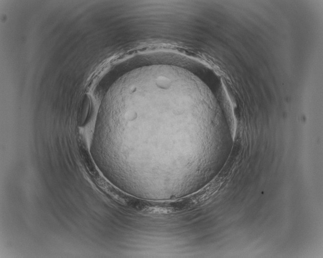 X0000083620352200703051615