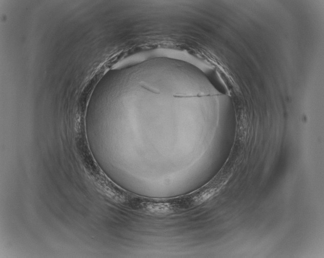 X0000083620355200703051615