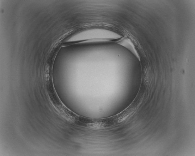 X0000083620356200703051615