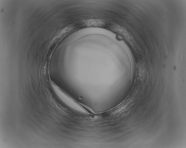 X0000083620357200703051615