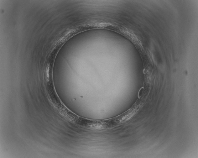 X0000083620358200703051615