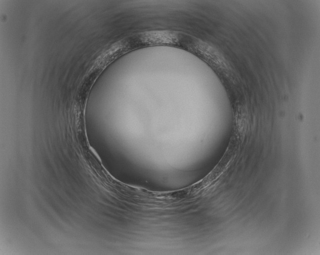 X0000083620359200703051615