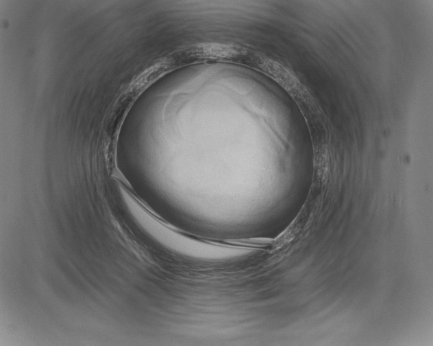 X0000083620360200703051615