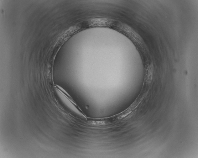 X0000083620361200703051615