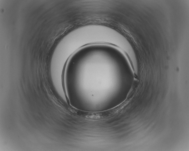 X0000083620362200703051615