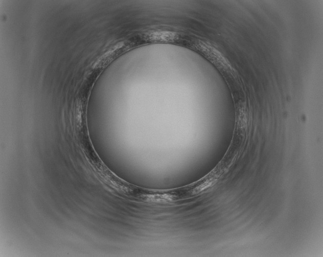 X0000083620363200703051615