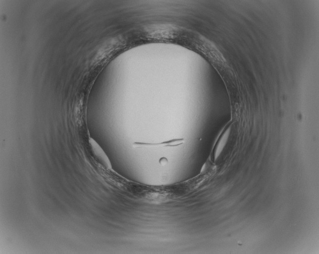 X0000083620364200703051615