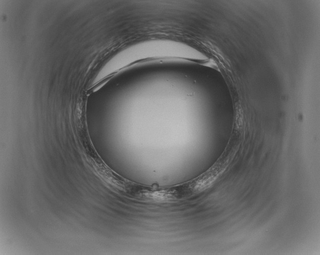 X0000083620365200703051615