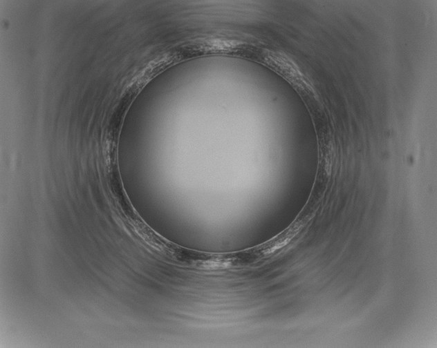 X0000083620366200703051615