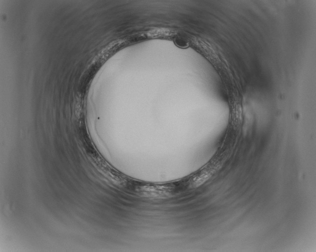 X0000083620367200703051615