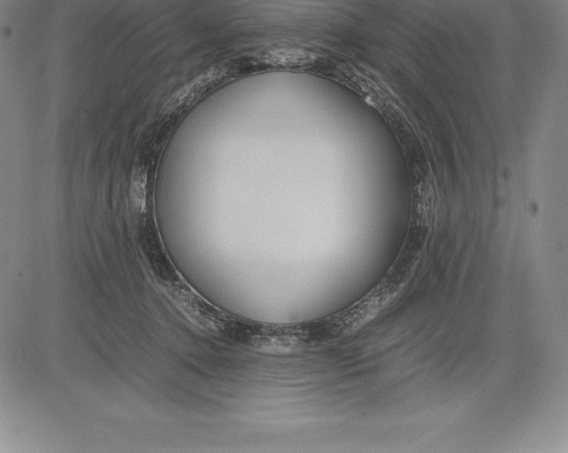 X0000083620368200703051615