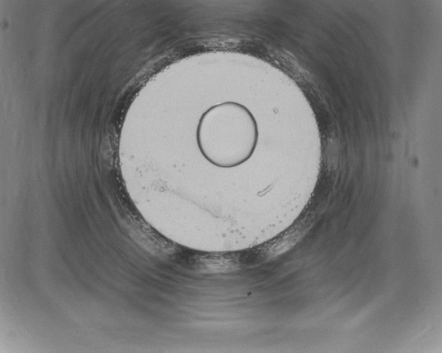 X0000083620370200703051615