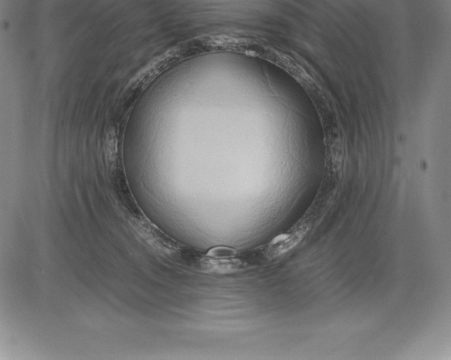 X0000083620372200703051615